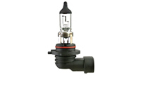H10 (9145) Halogen Lamps